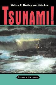 TSUNAMI