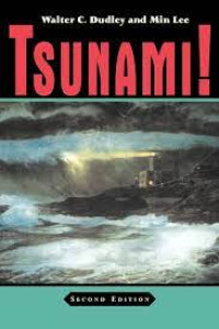 TSUNAMI