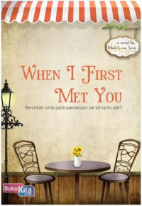 WHEN I FIRST MET YOU