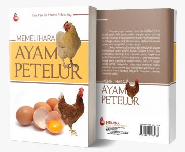 MEMELIHARA AYAM PETELUR